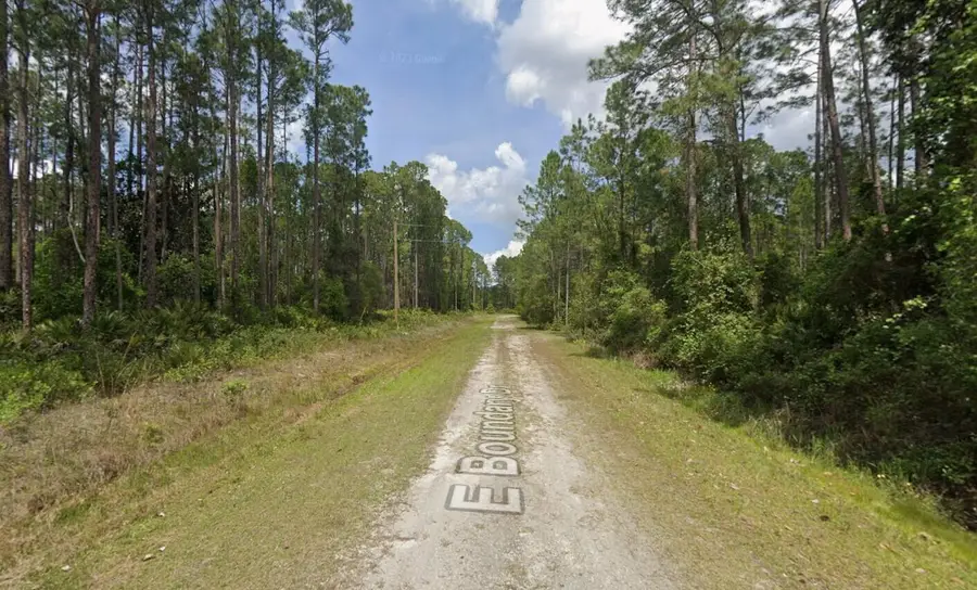 141 E Boundary Drive, Georgetown, FL 32139 - #2