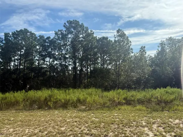 Tbd 135th St Road, Ocala, FL 34473