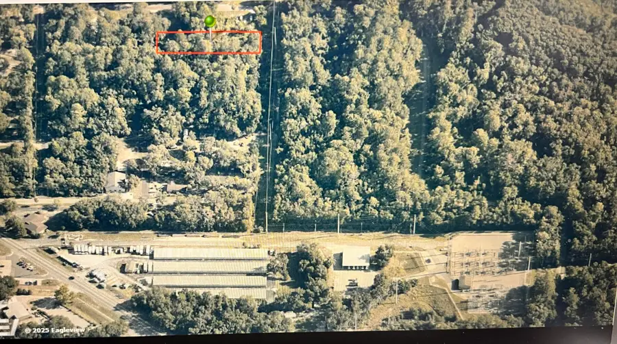 12144 N Osborne Avenue, Dunnellon, FL 34434 - #2