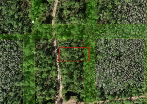 0 Holopaw Groves Road, St Cloud, FL 34772