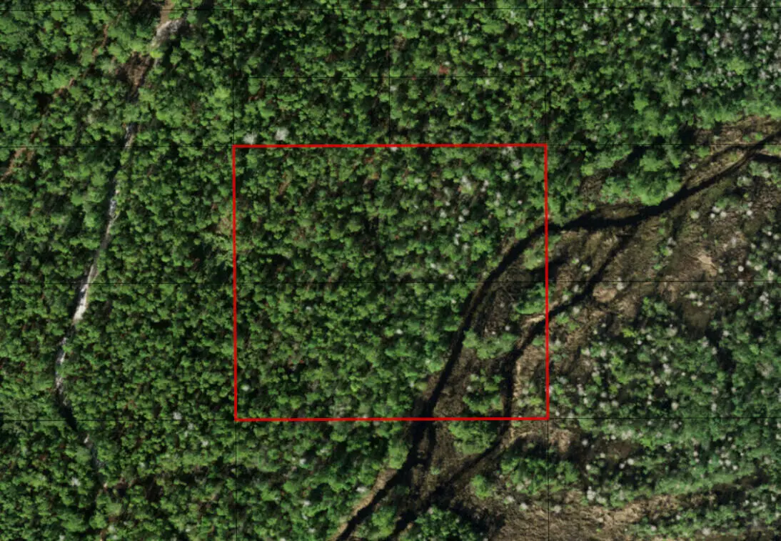 0 Holopaw Groves Road, Saint Cloud, FL 34772 - #1