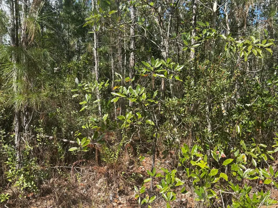 0 Holopaw Groves Road, Saint Cloud, FL 34772 - #2