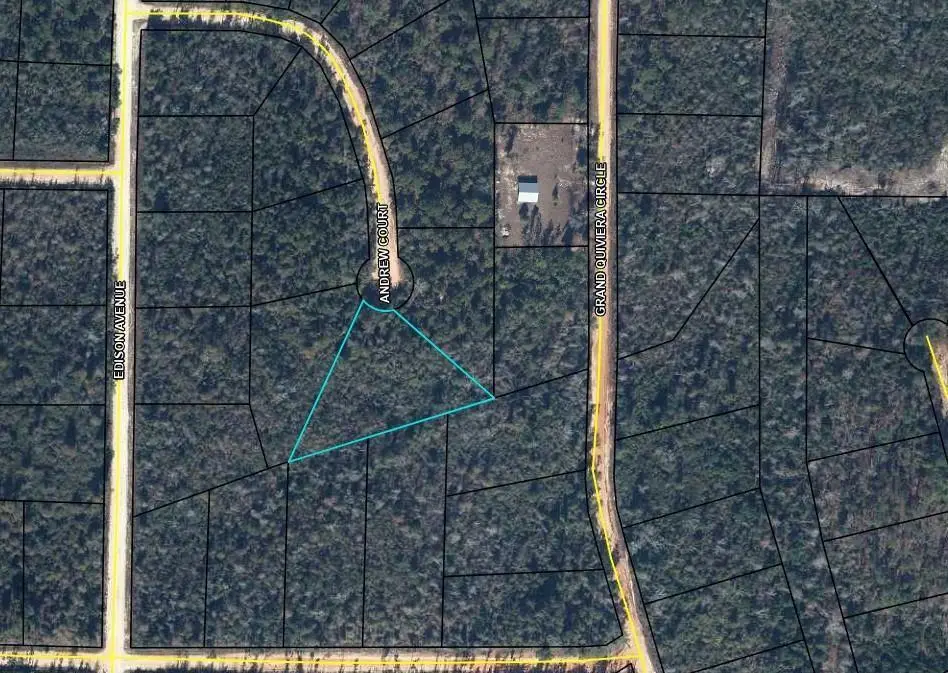 0 Andrew, Marianna, FL 32448 - #1