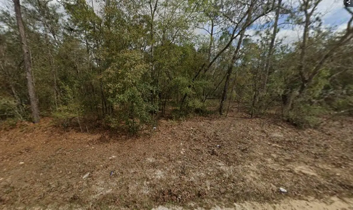 Lot 28 Janet Avenue, Interlachen, FL 32148 - #1