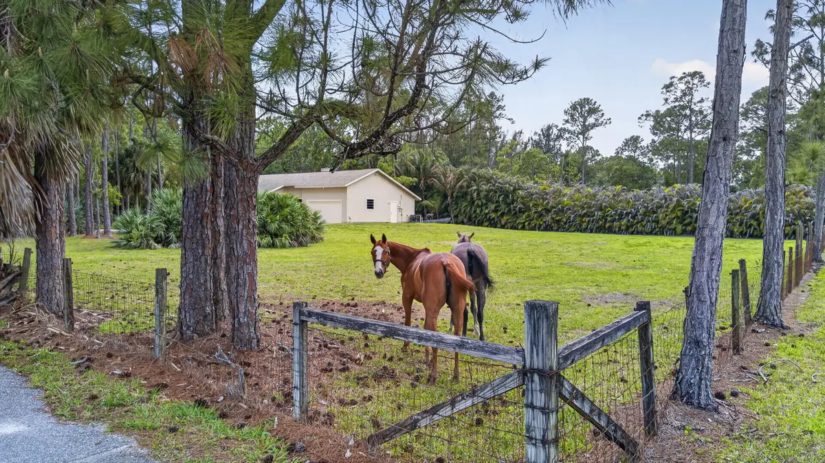 6045 Hall Boulevard, The Acreage, FL 33470 - #1