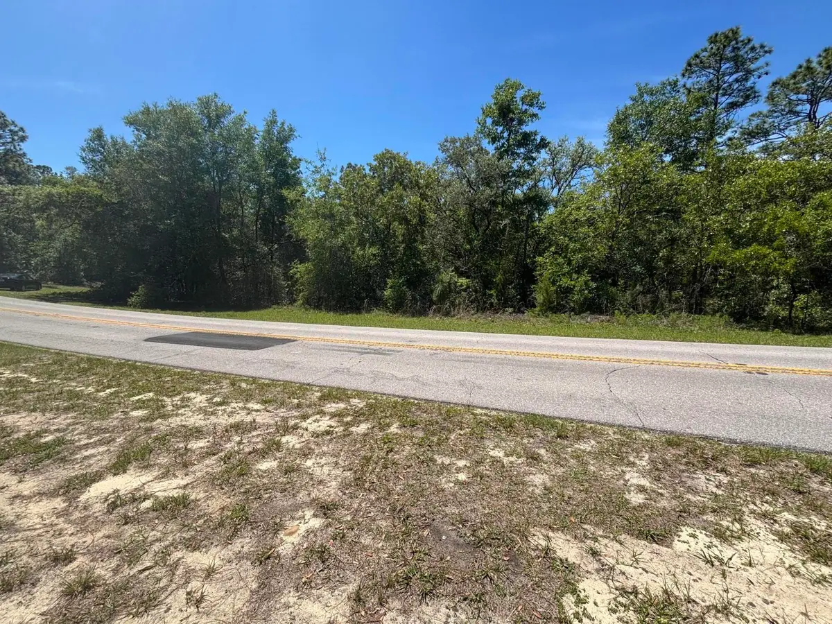 3334 N Annapolis Avenue, Hernando, FL 34442 - #1