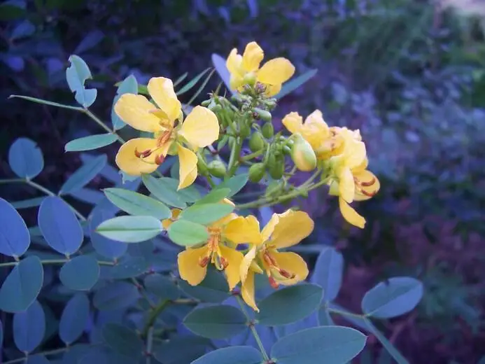 6400 Three Lakes Lane, Boynton Beach, FL 33437 - #1