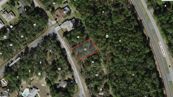 9119 N Commodore Drive, Citrus Springs, FL 34434
