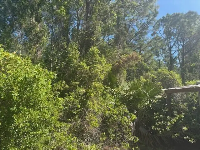 0 Golden Shores Blvd, Mims, FL  - #1