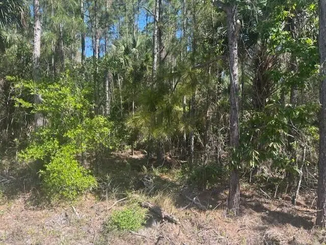 0 Golden Shores Blvd, Mims, FL  - #2
