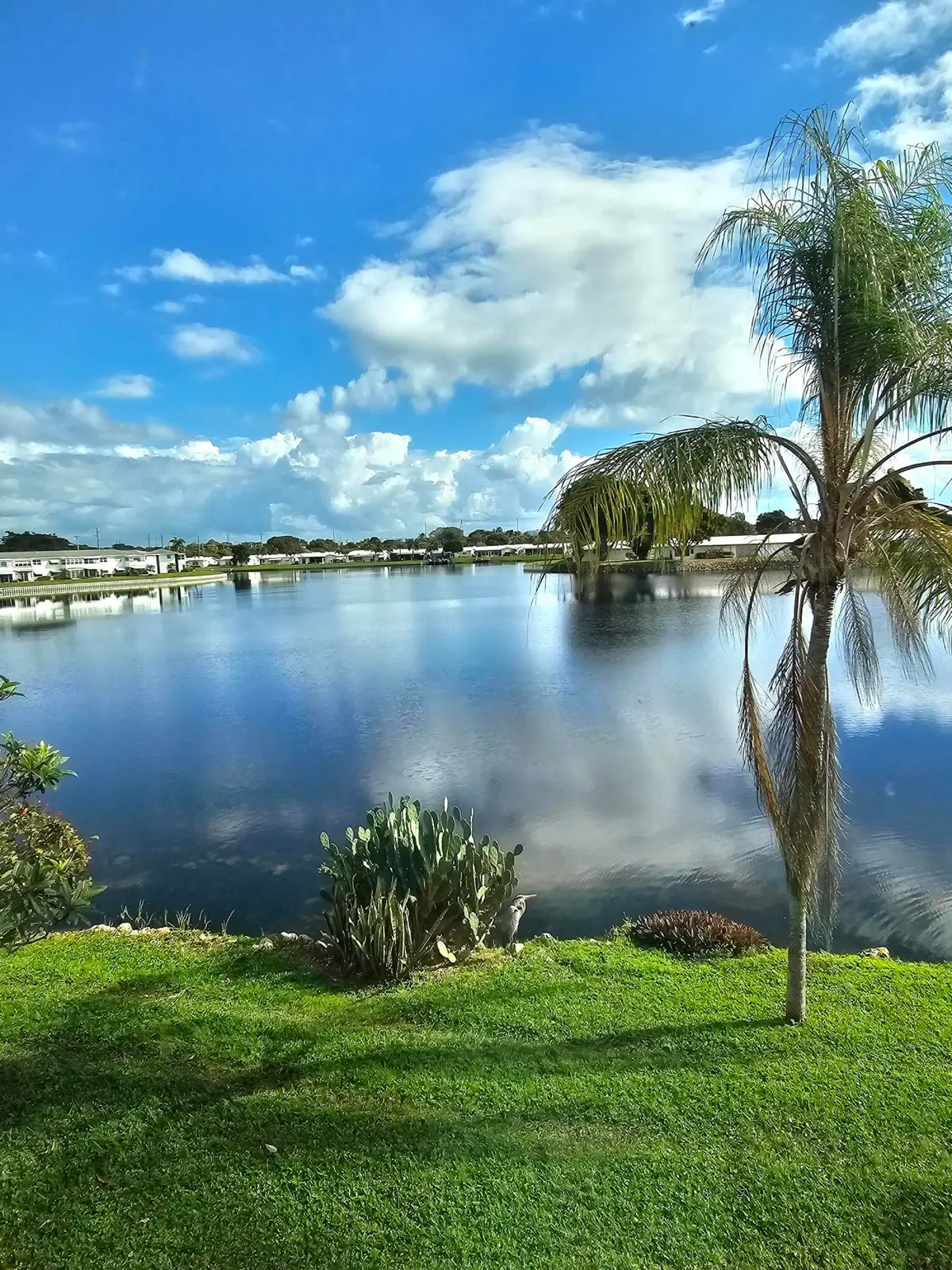 1118 Lake Terrace #217 H, Boynton Beach, FL 33426 - #1