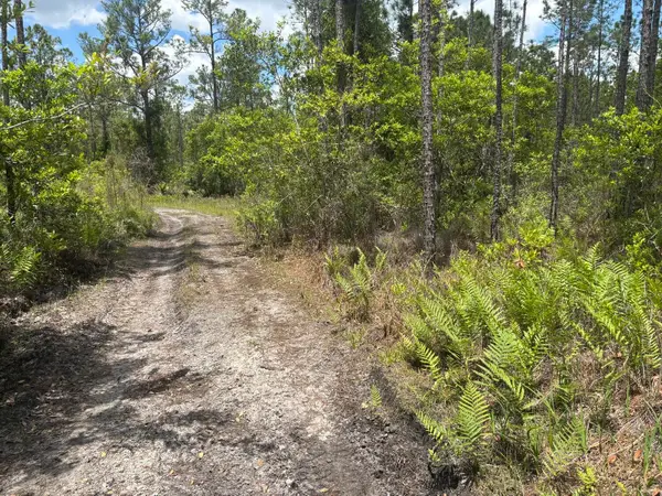 0 Holopaw Groves Road, St Cloud, FL 34772