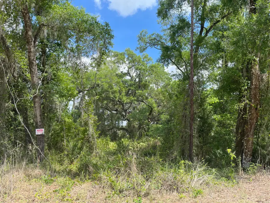 69 SE Se Terrace, Trenton, FL 32693 - #2