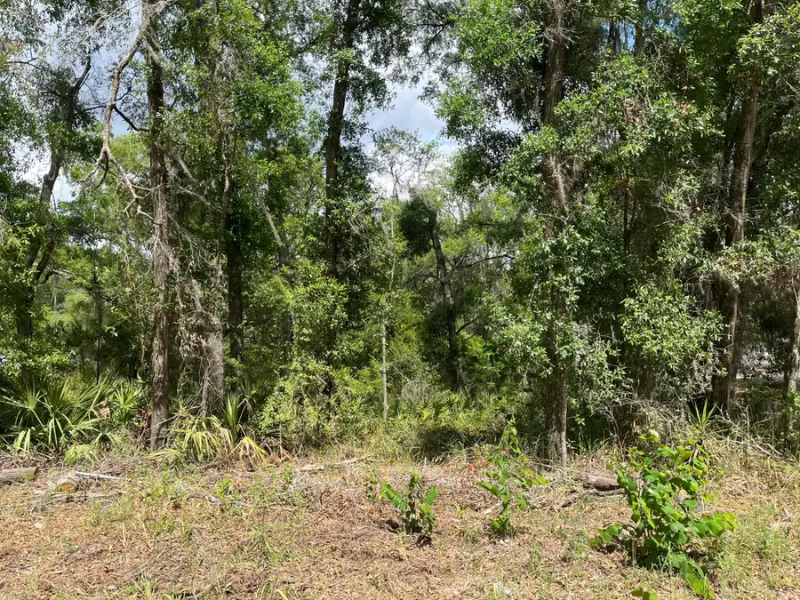 69 SE Se Terrace, Trenton, FL 32693 - #3