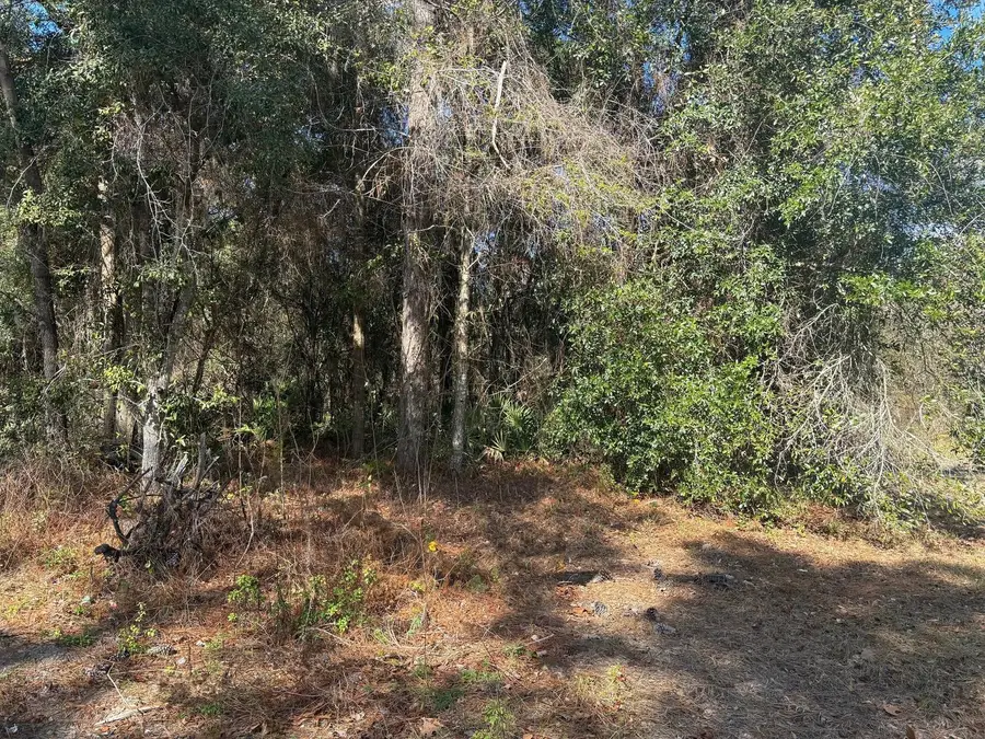 7178 W Wildfire Lane, Homosassa, FL 34448 - #2