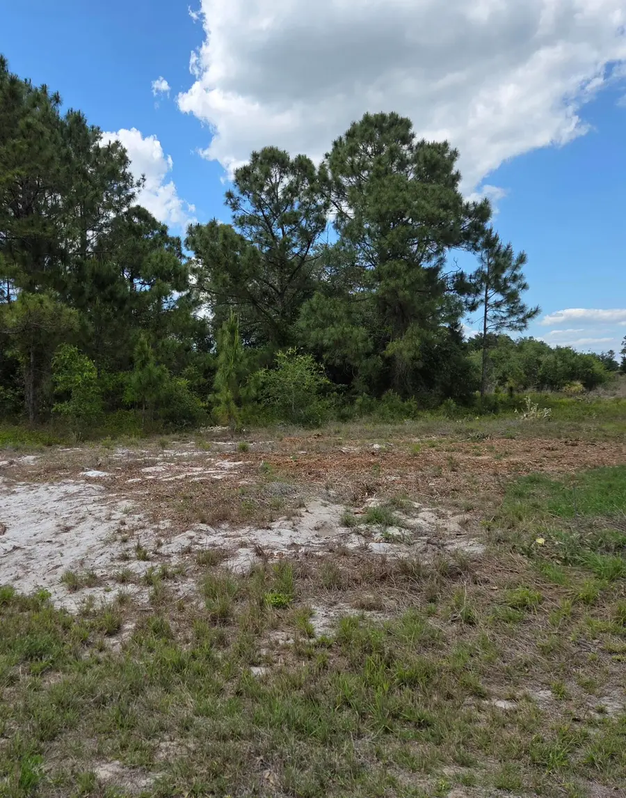232 Silver Avenue, Lake Placid, FL 33852 - #2