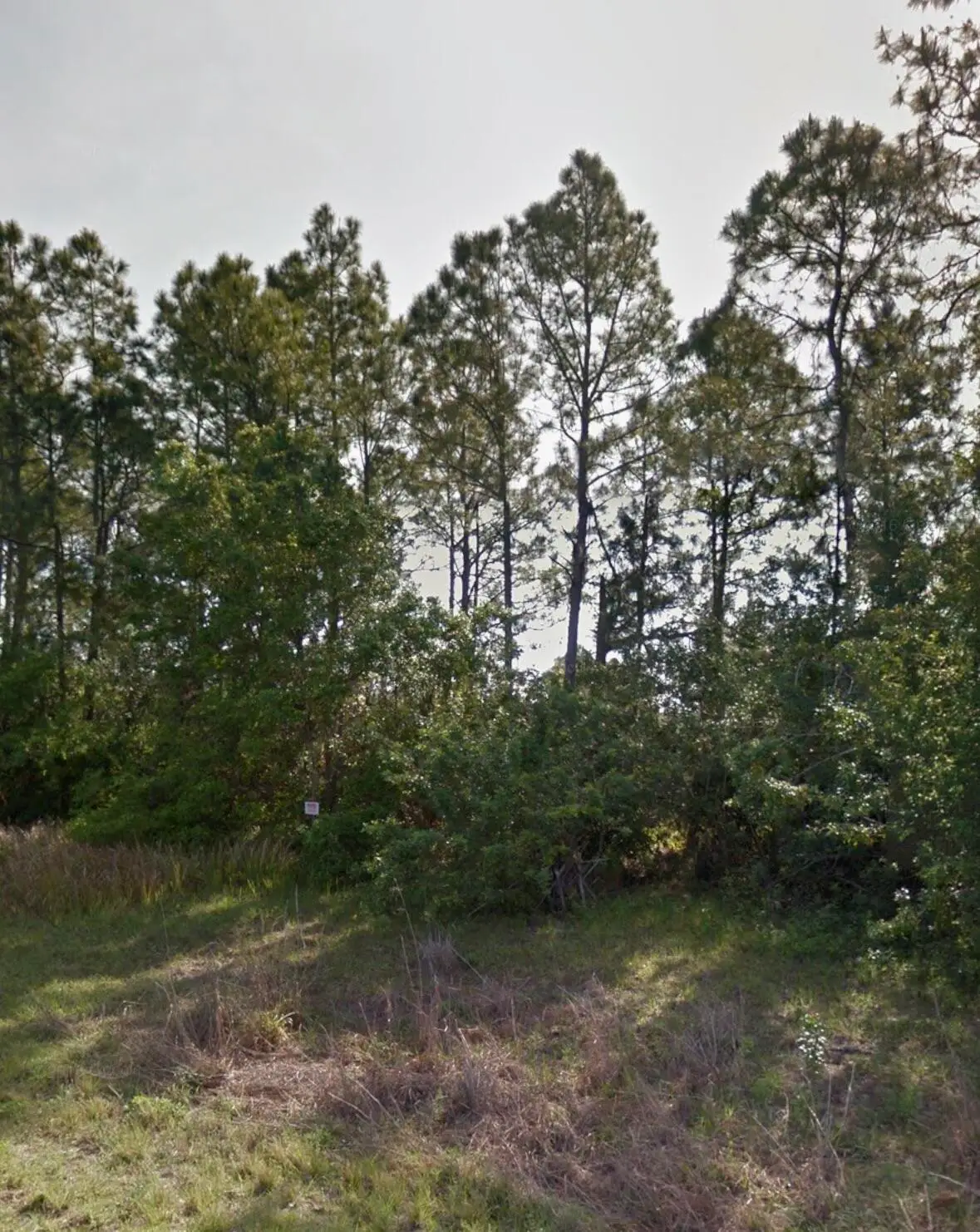 Lot 12 Silverleaf Road, North Port, FL 34288 - #1