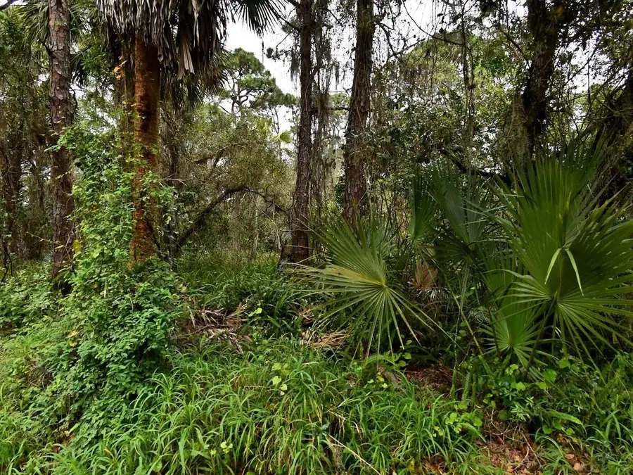 Tbd Oak Hammock Lane, Fort Pierce, FL 34981 - #2