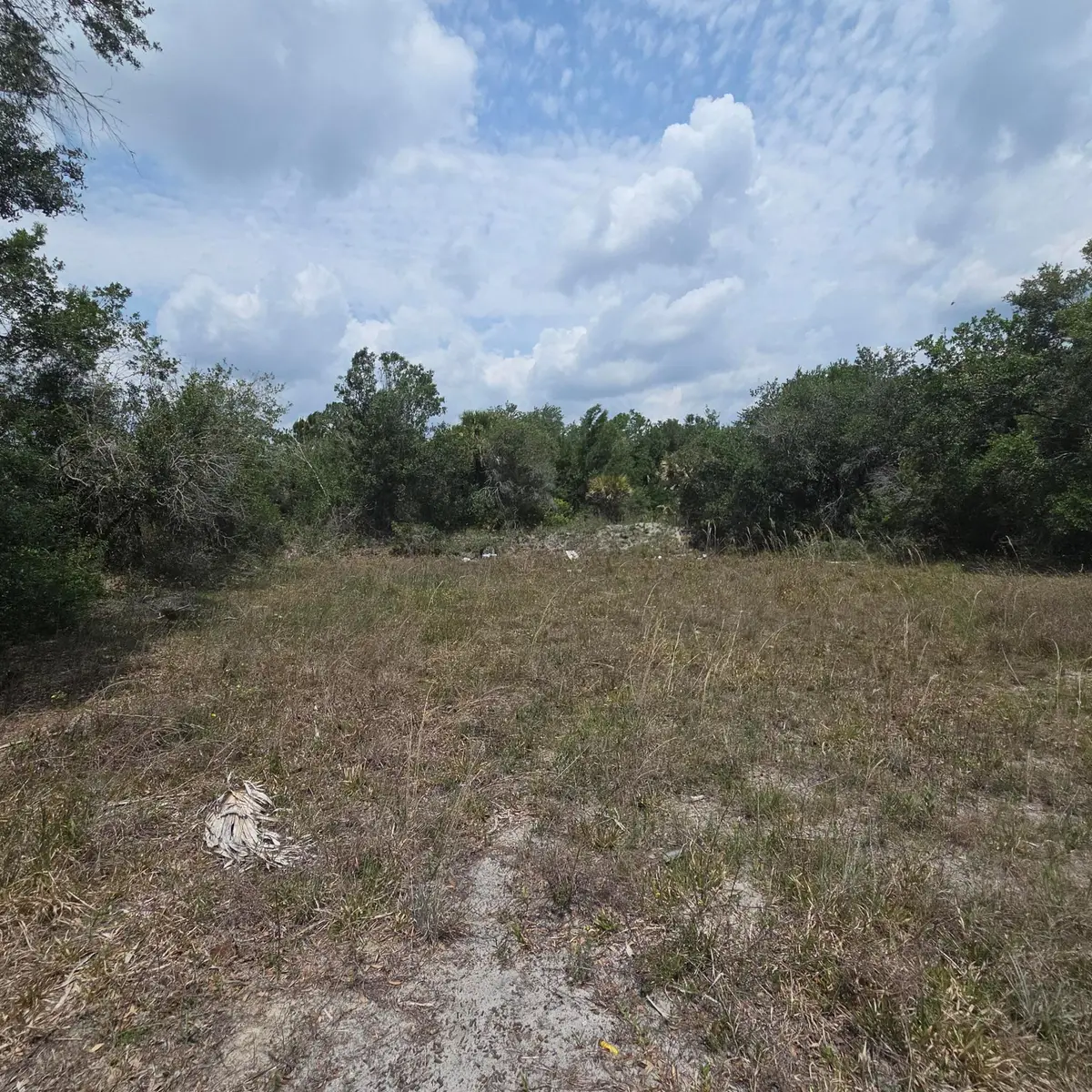 15777 NW 306th Street, Okeechobee, FL 34972 - #1