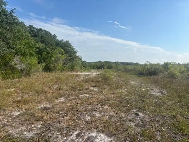 15729 NW 294th Street, Okeechobee, FL 34972 - #3