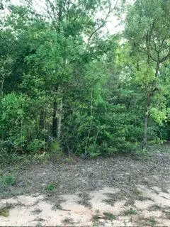 0 Gardenia Drive, Marianna, FL 32448 - #1