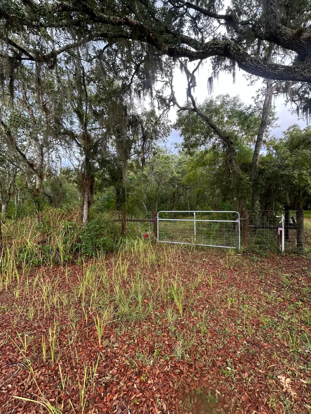 0 Scrub Jay Trail, Frostproof, FL  - #1