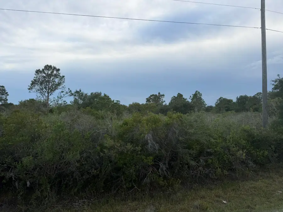 15840 NW 298th Street, Okeechobee, FL 34972 - #2