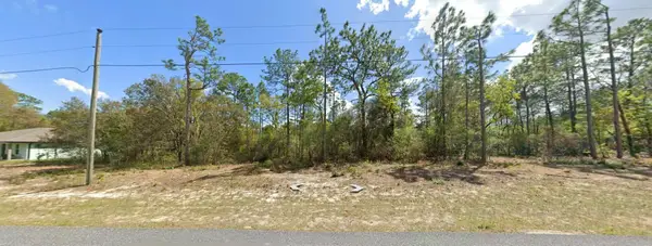 9029 N Saponaria Drive, Citrus Springs, FL 34433