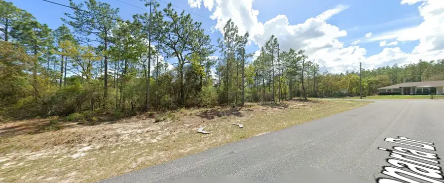 9029 N Saponaria Drive, Citrus Springs, FL 34433 - #2