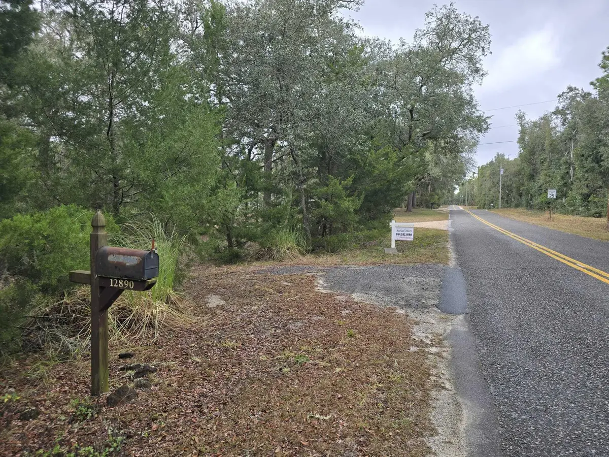 12890 NW 90th Avenue, Chiefland, FL 32626 - #1