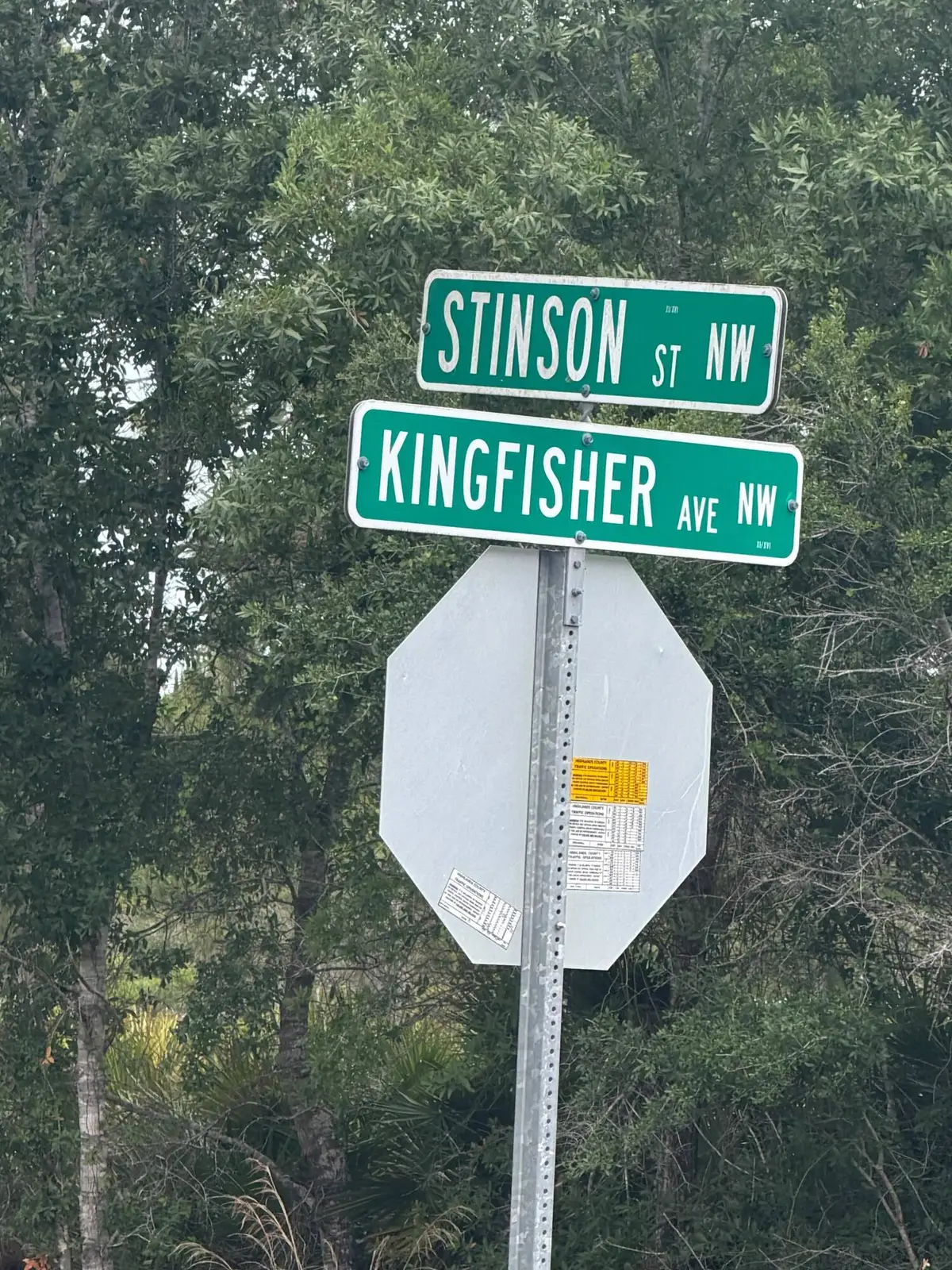 1170 Kingfisher Avenue Nw, Lake Placid, FL 33852 - #1