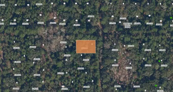 0 Spruce Drive, Georgetown, FL 32139