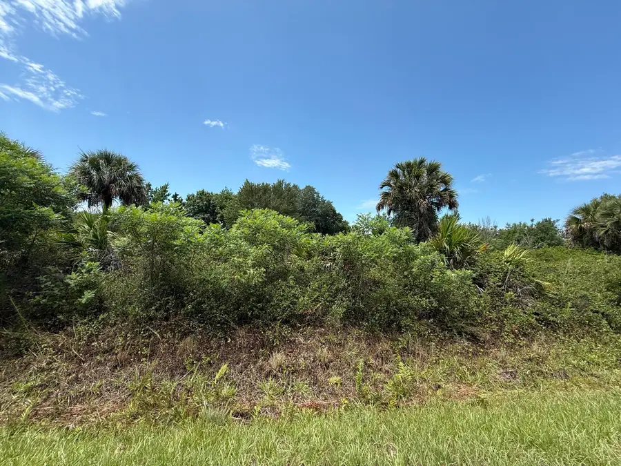 20174 NW 268th Street, Okeechobee, FL 34972 - #3