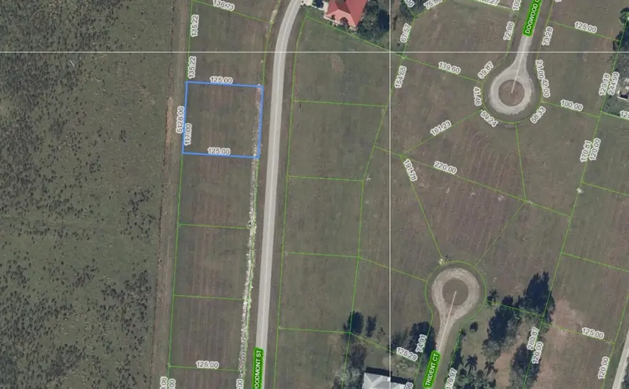 824 Woodmont Street, Sebring, FL 33876 - #2