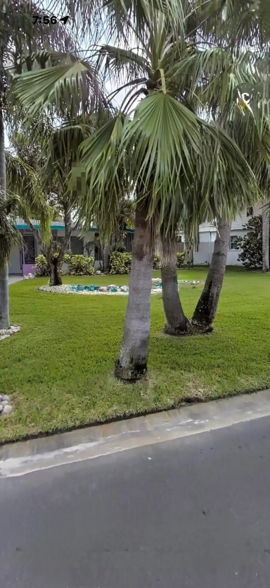 2469 W Baywood Dr Drive W, Dunedin, FL 34698 - #2