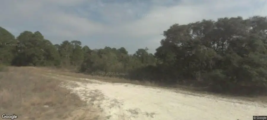 2530 N Todd Road, Avon Park, FL 33825 - #2