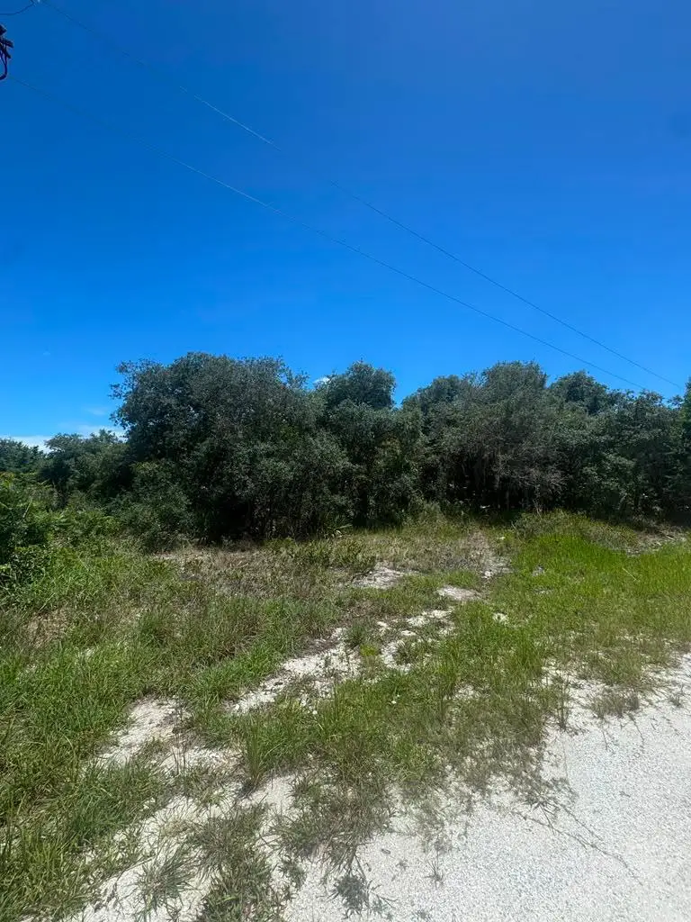 2530 N Todd Road, Avon Park, FL 33825 - #3