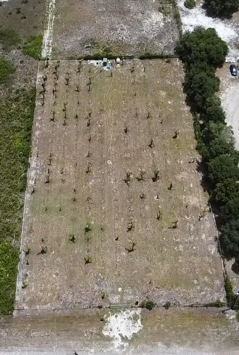 18282 NW 306th Street, Okeechobee, FL 34972 - #3
