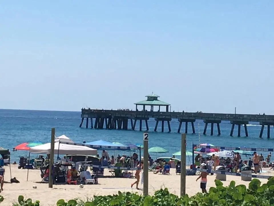 333 NE 21st Avenue #1422, Deerfield Beach, FL 33441 - #1