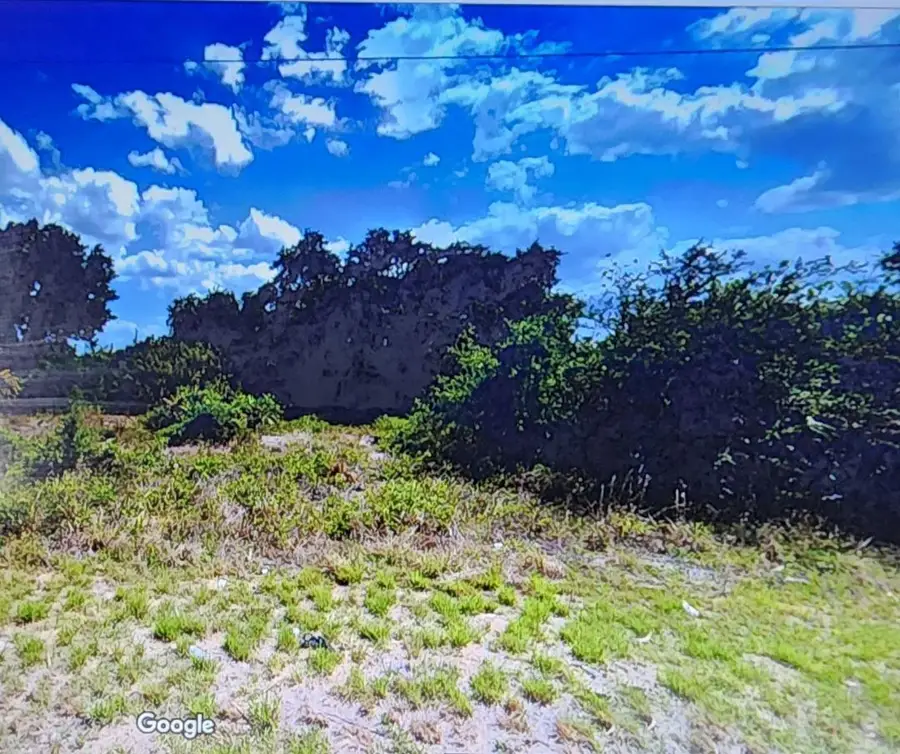 810 E Wolverine Street E, Lehigh Acres, FL 33974 - #3
