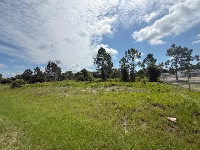 355 N Olivo Street, Clewiston, FL 33440 - #3