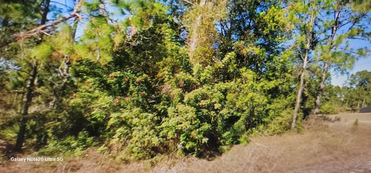 1023 Acacia Avenue, Lehigh Acres, FL 33972 - #1