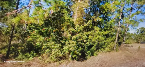 1023 Acacia Avenue, Lehigh Acres, FL 33972