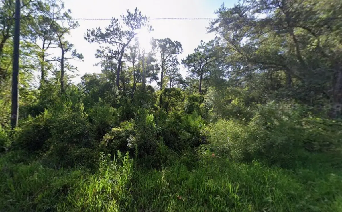 Tbd Atlee Street, New Port Richey, FL 34654 - #1
