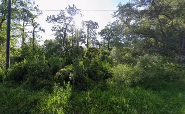 Tbd Atlee Street, New Port Richey, FL 34654