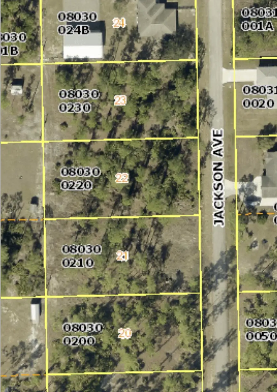 2219 Jackson Avenue, Alva, FL 33920 - #3