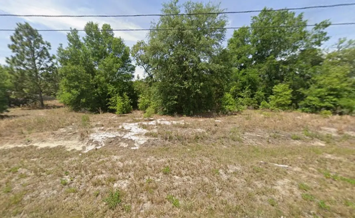 Tbd Dogwood Drive Lane, Ocala, FL 34472 - #1