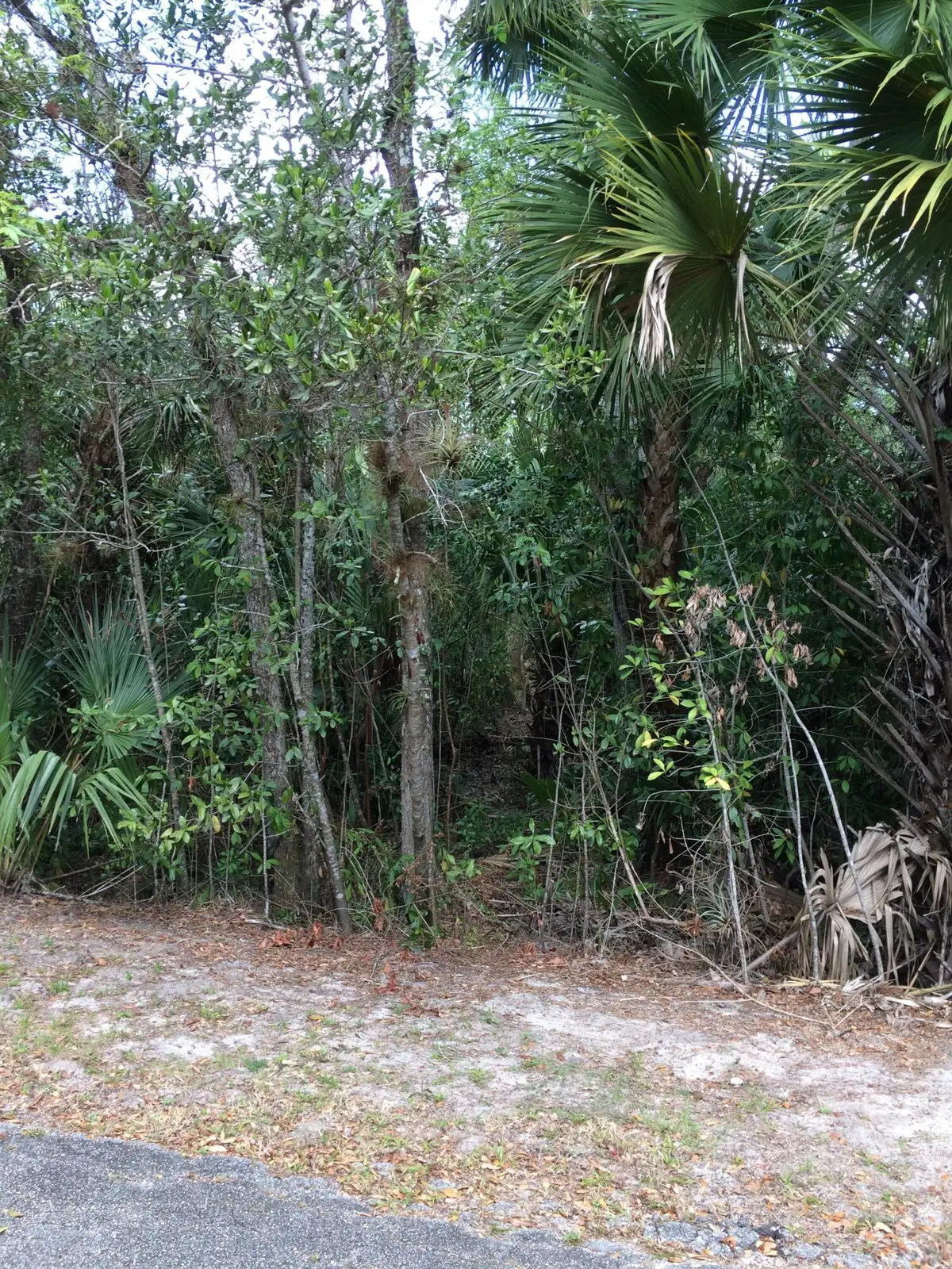 1802 Old River Road, Fort Pierce, FL 34982 - #1