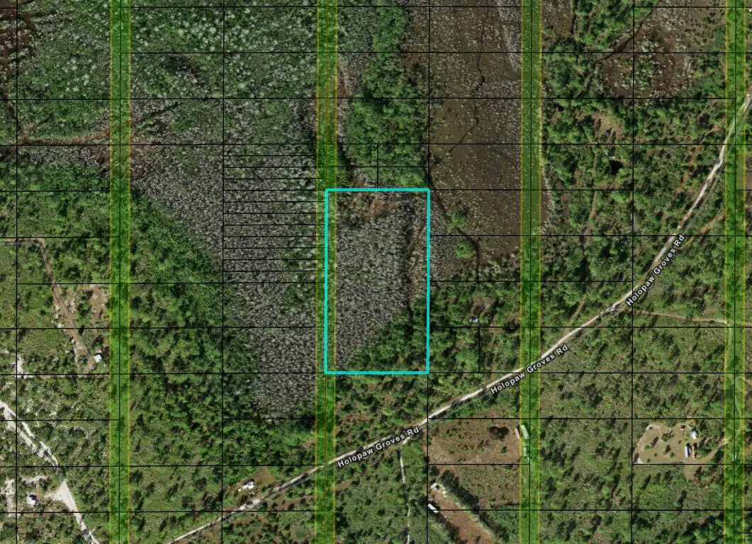 0 Holopaw Groves Road, Saint Cloud, FL 34772 - #1