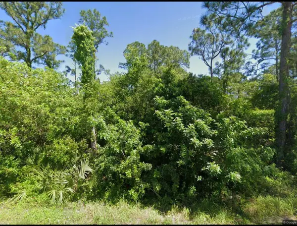 111 Suwannee Lane, Lake Placid, FL 33852
